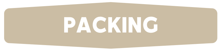 SUMMIT_LOGO